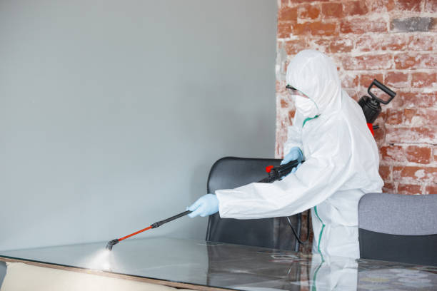 Reliable Matawan, NJ Mold Removal Services Solutions